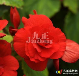 如何防范和治疗