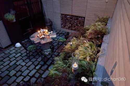 实战推荐清单：六款不惧潮湿和炎热的庭院植物