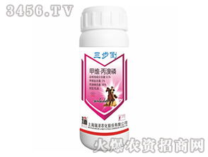 河北棉农的“2+1”轮换方案