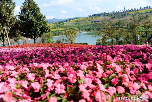 江南冬天的挑战与机遇