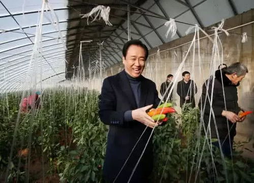 内蒙古真的有年产46万吨的发酵饲料产业吗？