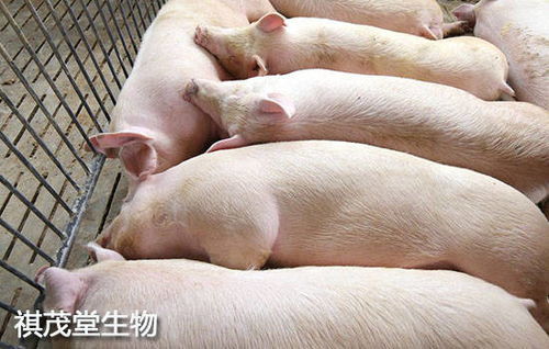最近养猪网生猪价格波动大，请问猪肉价格下跌后养猪户的利润空间如何变化？
