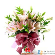 用哪种花朵来表达“花开心，我快乐”的情感最合适呢