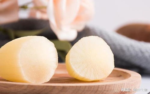 雪莲果种植方法是什么？新手也能轻松掌握吗