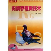 肉鸽养殖需关注种鸽选择、饲养管理、疫病防控等七个关键环节