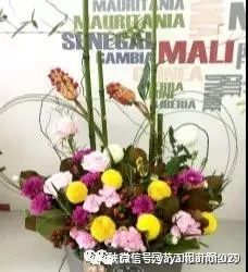 “花艺达人，瓜果飘香，家居园艺两不误！”