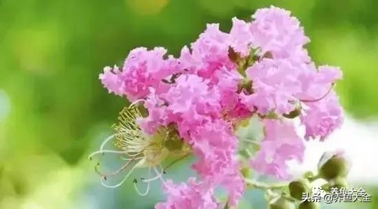 光照要像调鸡尾酒（三分烈日七分阴）