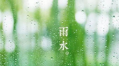 雨水打农药，行不行啊？