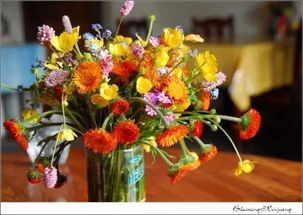 新疆的野花王国：蕞多的是哪种花？