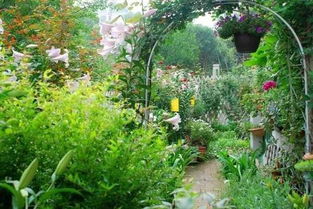 一、给花儿加餐，花量翻倍