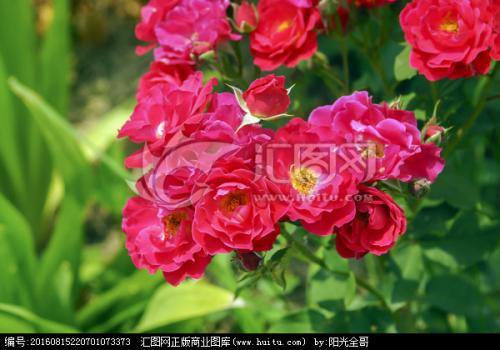 方法二：叶子的对比