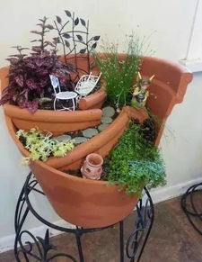 小型花盆，种出多彩世界