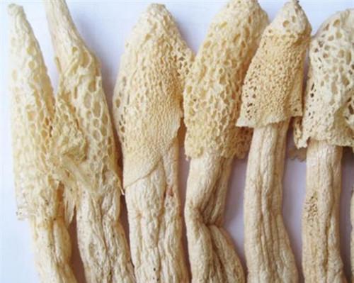 竹荪：菌中的白珍珠