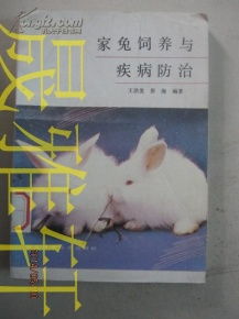 家兔高效养殖与疾病防控技巧：一站式养殖流程指南