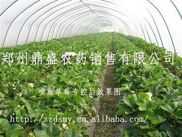 控旺产品使用注意事项