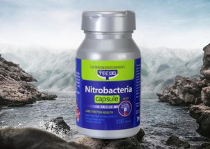 鱼缸杀菌剂大揭秘：养鱼必备小贴士