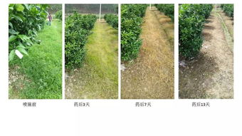 混合使用的好处