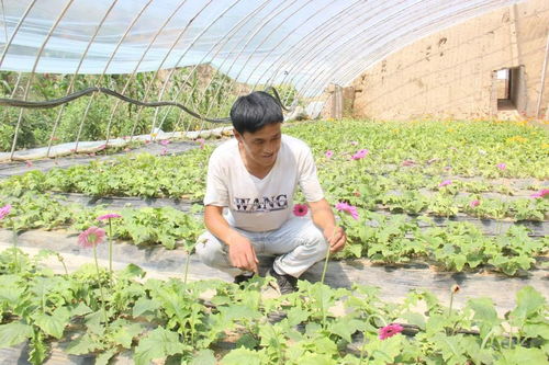 采收要赶早， 带保温箱防冻