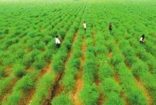 案件进展与警示