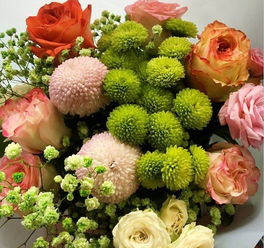 正宗睡莲，哪里找？