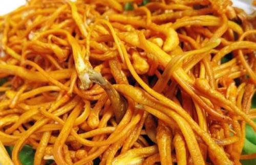 虫草花有什么作用？哪些人不宜食用虫草花