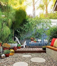 常绿草种核心参数