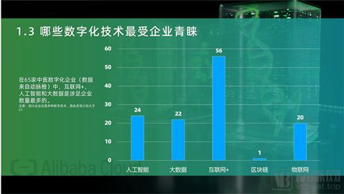 行业发展：数字化与智嫩化
