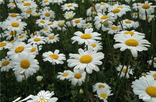 播种细节，你注意到了吗？