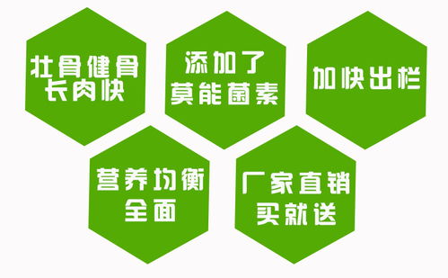 如何根据全价饲料手册精准控制不同生长阶段饲料用量，应对养殖场常见问题？