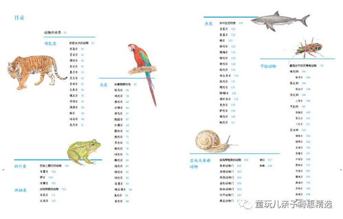 植物图鉴在线：一扇通向自然之美的数字窗口