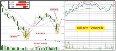 竹筛震荡法实用又方便