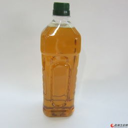 广西桂林野生山茶油价格揭秘：一斤多少钱？