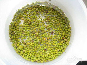 绿豆汤，夏日消暑佳品