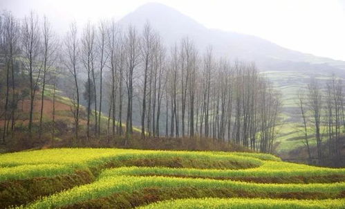住朝阳区高层的闺蜜亲测方案