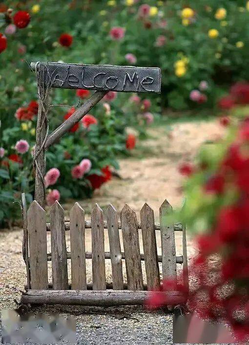 误区三：只说花色不说品种