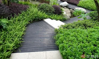 地形与植物配置：一对恋人