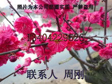 春季种植， 温暖如春