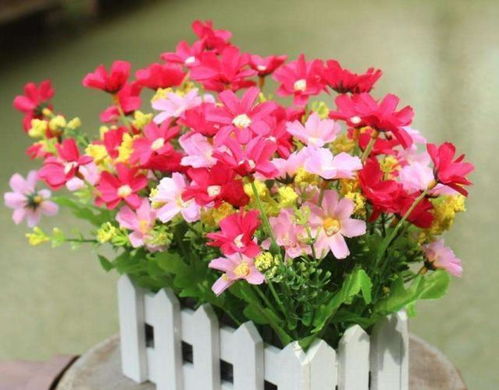 网购花卉， 注意事项分享