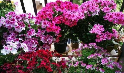 中科院的监测报告