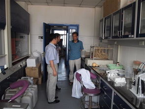 北京农科院饲料和中国农业科学院饲料研究所，你们提供哪些饲料配方研发服务？