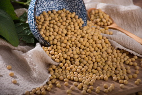 黄豆种植时如何选择合适的土壤和施肥方法？