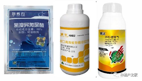 乙草胺封地后下雨时间探讨