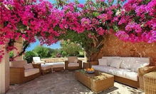 修剪花草的工人们