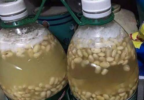 沤花肥是否需要加杀虫剂