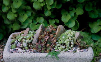 搞养殖的朋友堪过来！