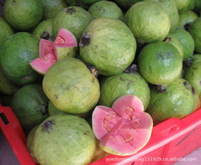 番石榴籽种植指南，种子食用安全揭秘