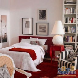 专家说：冬天卧室少放花草