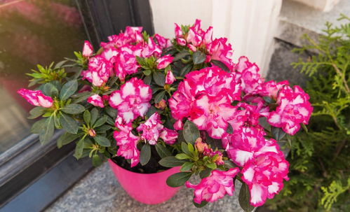 特殊需求，你注意到了吗？