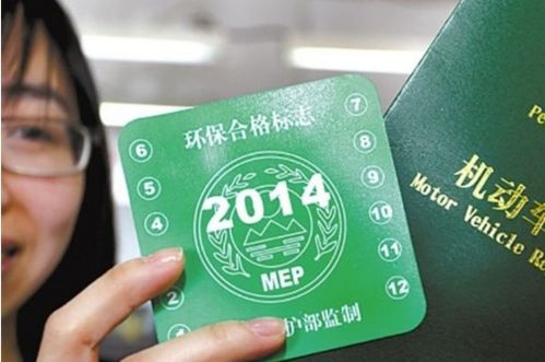 技术创新与市场拓展