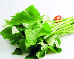 咬春，就是冬至数九后的第六个“九”开始